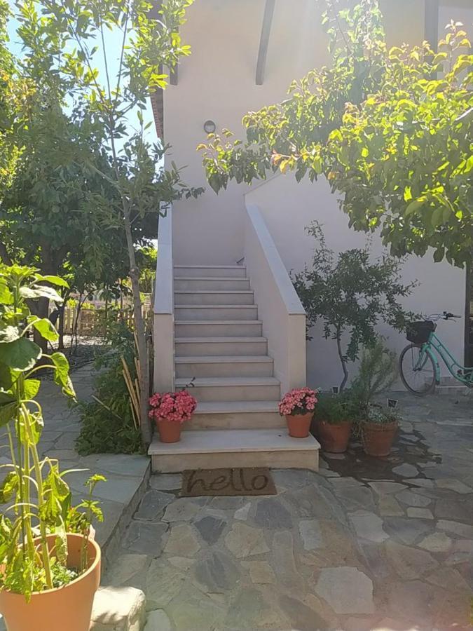 Stayatlenas Nikiti  Exterior photo